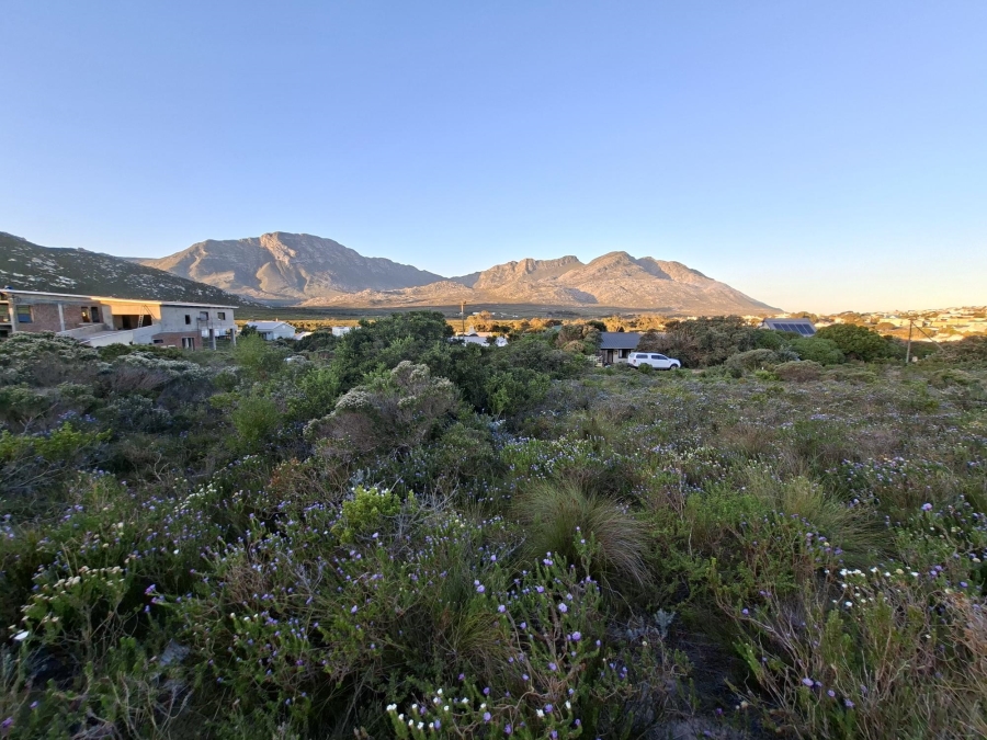 0 Bedroom Property for Sale in Pringle Bay Western Cape